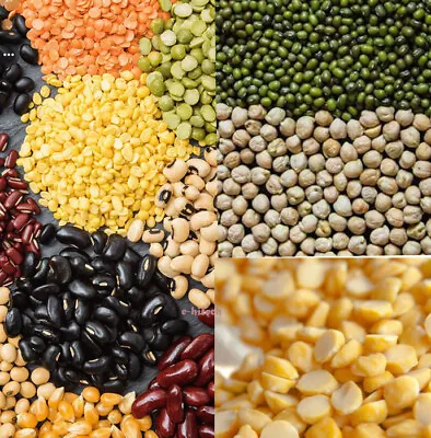 Lentils Peas Pulses Beans Legumes Dry Whole And Split Seeds Indian Dal Moong  • £2.99