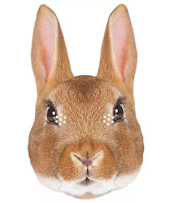 Rabbit Animal 2D Single Card Party Mask - World Book Day Wildlife Bunny • £4.49