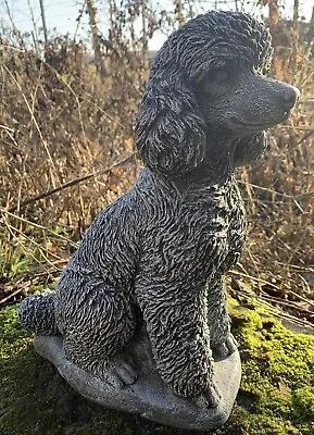 Stone Garden Large Detailed Poodle Dog Gift Black/white Ornament • £37.75