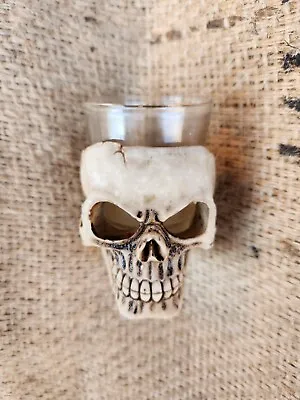 Skull Shot Glass  Great For Whiskey Vodka Tequila  Scotch Bar Goth NEW  • $6.99