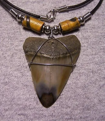 Mako Shark Tooth Necklace 2  Sharks Teeth Fossil Jaw Megalodon Scuba Diver • $26