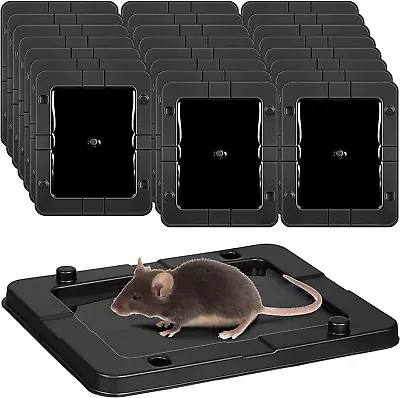 24 Pack Large Baited Glue Traps Sticky Mouse Trap Rat Traps Indoor Rodent Killer • $27.28