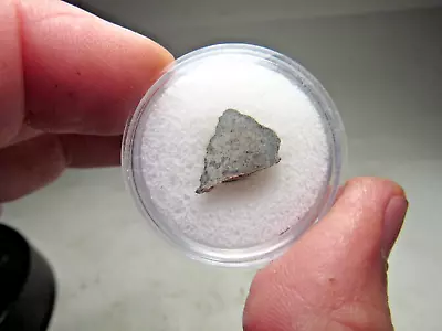 Great Deal! Amazing Amgala 001 Martian Shergottite Meteorite End Cut! 1.5 Gms • $156.75