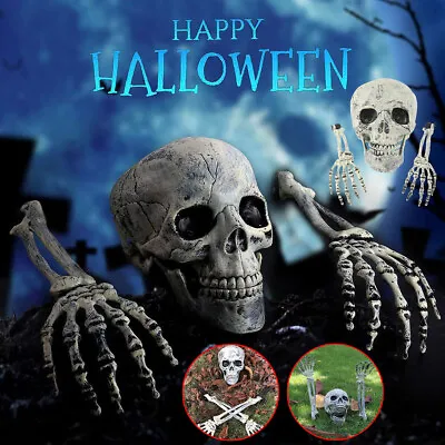 Halloween Skull Decoration Fake Skeleton Head Hands Decoration Halloween Props • £6.97