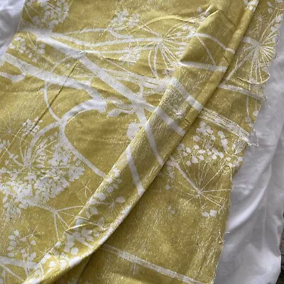 Cole And Son Cow Parsley Fabric Linen Colour 520 Gold Remnant 2m • £95