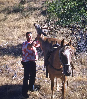 Vintage Stereo Realist Photo 3D Stereoscopic Slide HUNTER W Deer On Horseback • $5.95