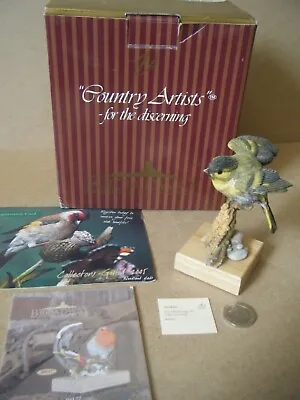 Rare Country Artists Broadway Birds  SISKIN  03945. Produced In 2004. Boxed. • £12.99
