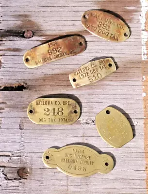 Vintage Lot Of 6  WALLOWA COUNTY Oregon DOG TAX LICENSE BRASS TAGS 1969-1986 • $26.95