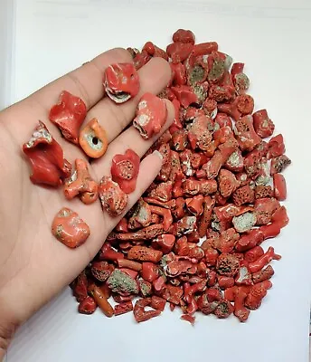100 CT's Natural Italian Red Coral Polished Rough Gemstone Mediterranean Coral. • $26.69