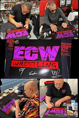 ECW Signed 11x14 Logo Sheet Poster Rob Van Dam Sandman Whipwreck MORE WWE Proof • $49.99