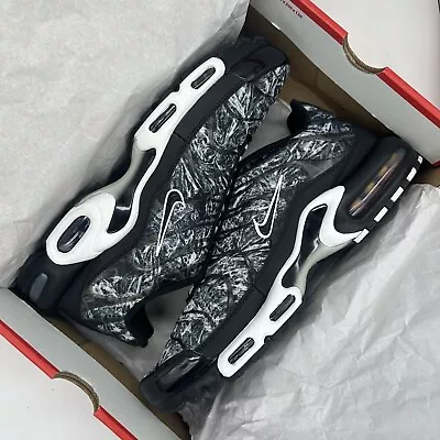 Nike Air Max Plus TN Dark Smoke Grey - Size US13 • $320