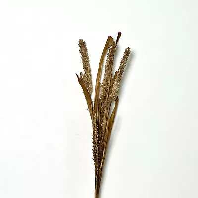 Brand New Abigail Ahern Lace Lock Sage Stem | Faux Flowers | Dried Grasses • £9.95