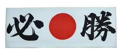 Japanese Head Band Hachimaki Hinomaru Nippon Hisshou Kanji Made In Japan • $8.54