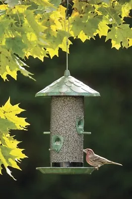 Vintage Green Gold Outdoor Hanging 4 Metal Port Acorn Seed Screen Bird Feeder • $53.95