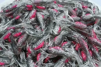 2  Smoke Sparkle Minnow Tubes Hollow Fat Belly Crappie Panfish Fishing Baits • $31.99