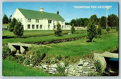 Postcard Trout Fish Hatchery Thompson Michigan  • $4.45