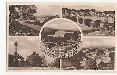 £2 • Buy Scotland, Newton Stewart Postcard, A384d