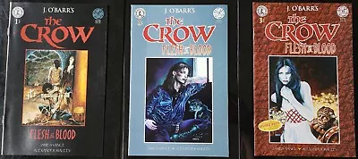 The Crow Flesh & Blood 1-3 Complete Kitchen Sink Comix J. O'Barr's Copy 4 • $39.99