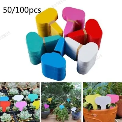 50/100pcs Plant Labels Markers Garden Veg Tags Sign PVC Gardening Stake B19 • $2.05