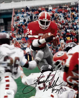 HERSCHEL WALKER HAND SIGNED AUTOGRAPHED 8x10 PHOTO GEORGIA BULLDOGS~JSA CERT~ • $149.34