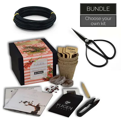 Novice Bonsai Tree Starter Kit Bundle | Grow Your Own Bonsai Tree | Beginners • £31.99