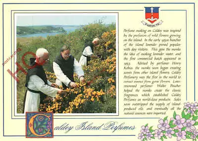 Picture Postcard; Caldey Island Perfumes • £3.49