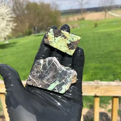 Cristo Variscite Ribbon Slabs Rough • $25.99