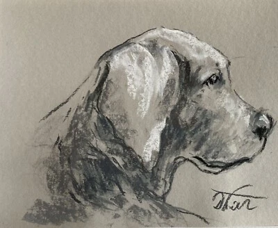 Impressionism Pastel Painting Drawing Dorothy Laz Dog • £26.49