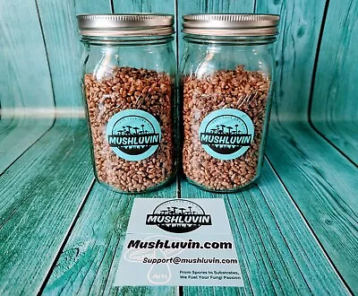 Premium Pack Of Sterilized Rye Mushroom Grain Spawn Jars🍄 • $38.50