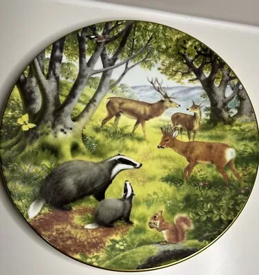 Coalport Mammals Denys Ovenden Collectors Plate British Wildlife Appeal R.s.n.c • £9.99