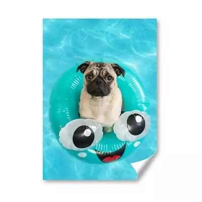 £4.99 • Buy A4 - Pug Puppy In Swimming Pool Poster 21X29.7cm280gsm #46220