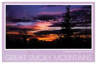 $3.20 • Buy Great Smoky Mountains National Park NC Clingmans Dome Chrome UNP Postcard