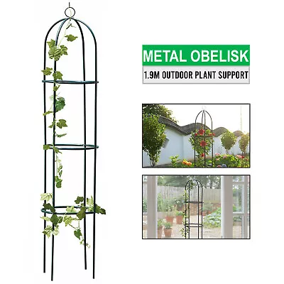 New Garden Obelisk Climbing Plant Flowers Steel Frame Easy Assembly Grow Support • £8.85