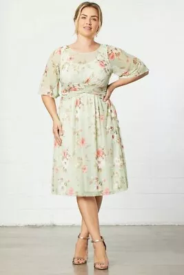 Kiyonna Dress 2X Katerina Mesh Pale Green Floral Flutter Sleeves Spring Lined • $69.99