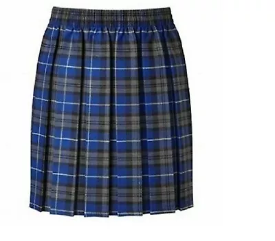 Girls Box Pleated Elasticated Waist Skirt Kids School Uniform Skirt All Round • £12.95