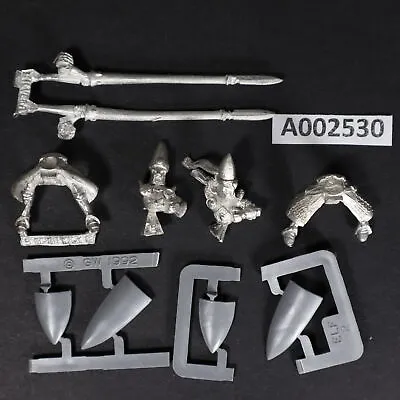 High Elves Silver Helms X2 Warhammer Fantasy  Games Workshop • $25.99