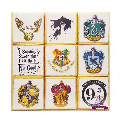 Milk Chocolate Neapolitans Harry Potter Variety Nine Pack VPLSC Mischief Managed • £5