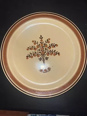 Newcor Romantic Dinner Plates VTG Stoneware 152 Fruit Trees Japan • $6