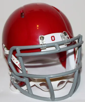2010 Ohio State Buckeyes Alternate Custom Riddell Mini Helmet Vs Michigan • $70