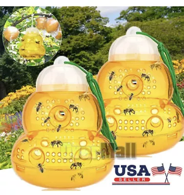 Hanging Outdoor Wasp & Fly Trap For Yellow Jackets Hornets Non-Toxic Reusable • $14.77
