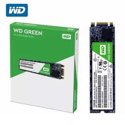 $40 • Buy Western Digital WD Green 120GB M.2 2280 SSD Transfer Speeds Up To 545MB/s - 3Y