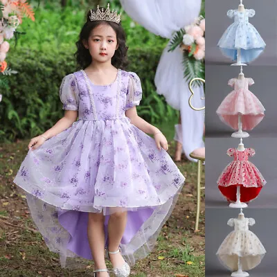 Chirstmas Party Flower Kids Girls Dress Pageant Wedding Princess Prom Ball Gown • $38.53