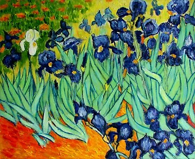 Van Gogh Field With Irises Repro Quality Hand Painted Oil Painting 20x24in • $68.95