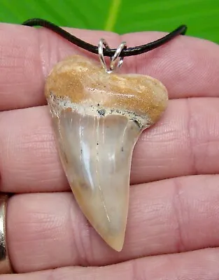  SHARK TOOTH  Necklace -  MAKO -  1.82 In. SHARKS TEETH - For Men & Woman  • $45