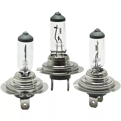 Set Of 3 Head Light Driving Headlamp Headlight Bulbs  Driver & Passenger Side • $14.63