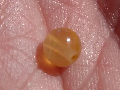 0.73 Ct. Round Cut Mexican Cantera Fire Opal Bead. • $45