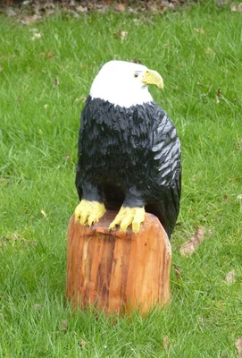 £75 • Buy Chainsaw Carved  Eagle