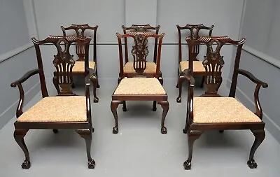 Set Of Six Chippendale Revival Mahogany Dining Chairs By Phillips & Jones • £795