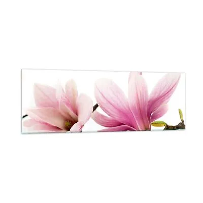 Glass Print 90x30cm Wall Art Picture Magnolia Flower Nature Plant Small Artwork • £70.79