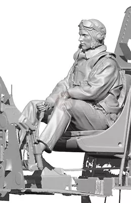 Legend 1/24 US Navy Pilot I WWII Sitting Hand On Control Stick (2 Heads) LF2405 • $51.93